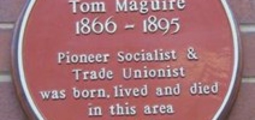 tom maguire